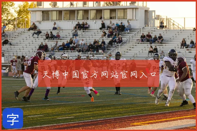 天博中国官方网站官网入口